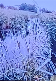 The Questioning City (1959)