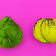 Ugly Lime