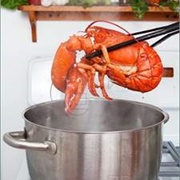Boil a Live Lobster