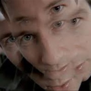 War of the Coprophages