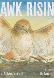 Hawk Rising (Maria Gianferrari)