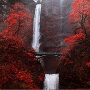 Multnomah Falls in Fall, Oregon