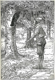 The Raven (The Brother's Grimm)