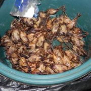 Barbequed Baby Birds