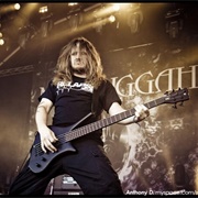 Dick Lovgren (Meshuggah)