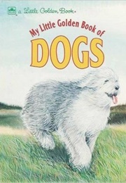My Little Golden Book of Dogs (Lewis, Jean)