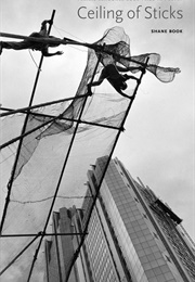 Ceiling of Sticks (Shane Book)