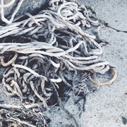 Pedestrian Deposit - Dryers' Hands