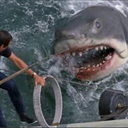 The Shark (Jaws, 1975)
