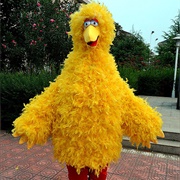 Big Bird Costume