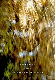 Trapeze (Deborah Digges)