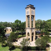 University of Texas at Tyler
