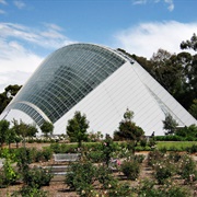 Adelaide Botanic Garden Bicentennial Conservatory
