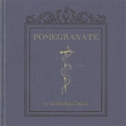 The Wondersmith and His Sons - Astronautalis