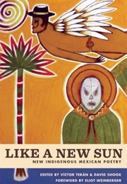 Like a New Sun: New Indigenous Poetry (Víctor Terán & David Shook (Edit.))