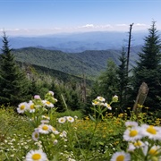 Great Smoky Mountains National Park, Tennessee