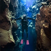 Snorkel Between Tectonic Plates in Iceland