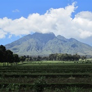 Take a Helicopter Ride Over a Volcano