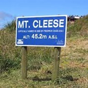 Mt Cleese