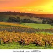 Barossa Valley