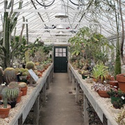 New Orleans Botanical Garden