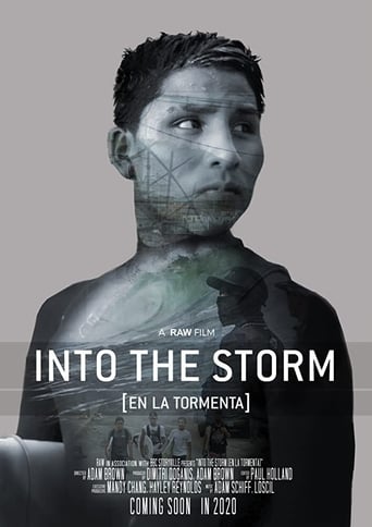 Into the Storm (2020)