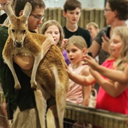 The Creature Conservancy, Ann Arbor