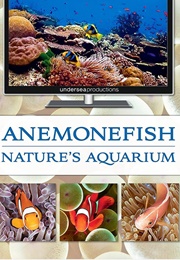 Anemonefish Nature's Aquarium (2011)