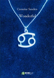Wonderful (Carmine Sanden)