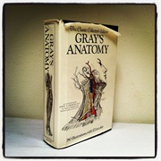 Gray's Anatomy