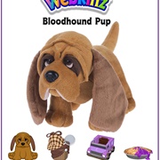 Bloodhound Pup