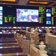 Surprisingly Still Cool Race & Sports Book Action