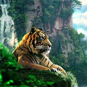 ZSL London Zoo, England