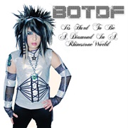 Blood on the Dance Floor - It's Hard to Be a Diamond in a Rhinestone World