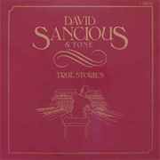 David Sancious and Tone - True Stories