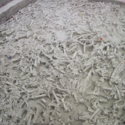 Hudson Meng Bison Kill