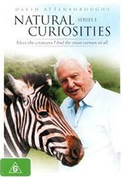 David Attenborough&#39;s Natural Curiosities (2013)