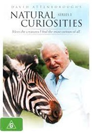 David Attenborough's Natural Curiosities (2013)
