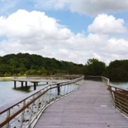 Labrador Nature and Coastal Walk
