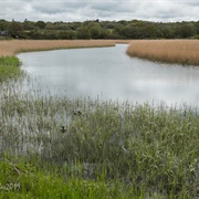 Welsh Wildlife Centre, Wales