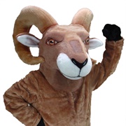 Bighorn Costume