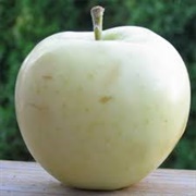 Yellow Transparent Apple
