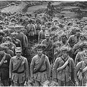 Nanking Battalion