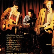 Wish You Well - Grant Lee Buffalo