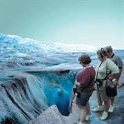 Omar Rodriguez-Lopez - Minor Cuts and Scrapes in the Bushes Ahead