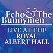 Echo & the Bunnymen - Live at the Royal Albert Hall
