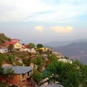 Muree