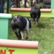 Avon Valley Country Park