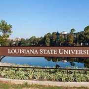 Lousiana State University