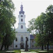 Bjelovar Cathedral